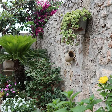 Guest house Masseria Salentina Marina Serra